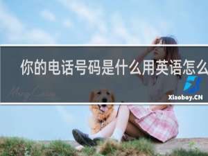 你的电话号码是什么用英语怎么说