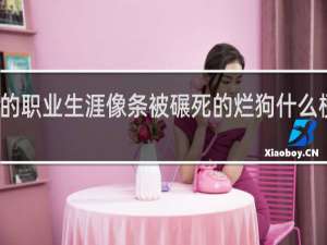 你的职业生涯像条被碾死的烂狗什么梗什么梗