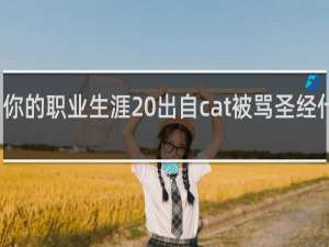 你的职业生涯 出自cat被骂圣经什么梗