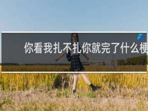 你看我扎不扎你就完了什么梗