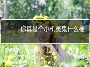 你真是个小机灵鬼什么梗