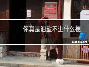你真是油盐不进什么梗