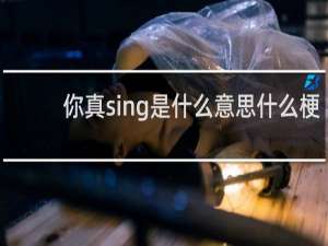 你真sing是什么意思什么梗