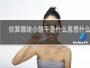 你算哪块小饼干是什么意思什么梗