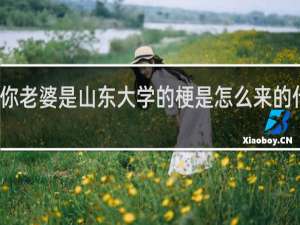 你老婆是山东大学的梗是怎么来的什么梗