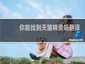 你能找到天猫精灵吗翻译