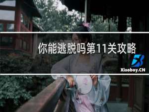 你能逃脱吗第11关攻略