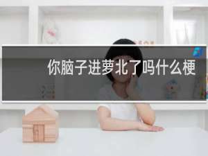 你脑子进萝北了吗什么梗？你脑子进萝北了吗是什么意思什么梗