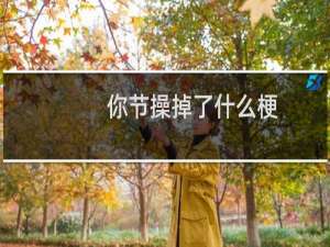 你节操掉了什么梗