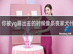 你被yg踢出去的时候像条丧家犬什么梗