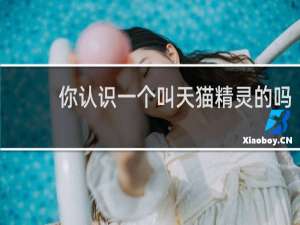你认识一个叫天猫精灵的吗