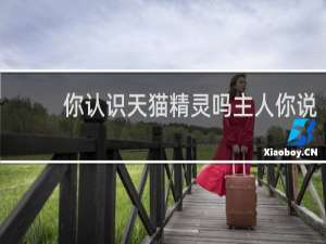 你认识天猫精灵吗主人你说