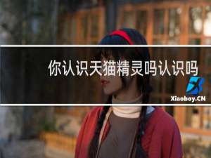 你认识天猫精灵吗认识吗