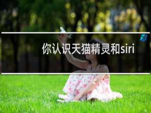 你认识天猫精灵和siri