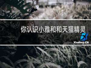 你认识小雅和和天猫精灵
