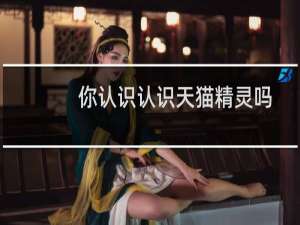 你认识认识天猫精灵吗