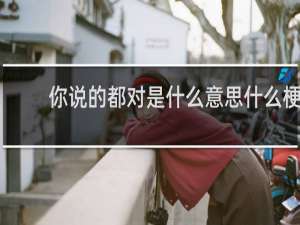 你说的都对是什么意思什么梗