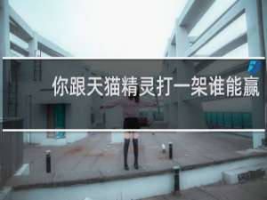 你跟天猫精灵打一架谁能赢