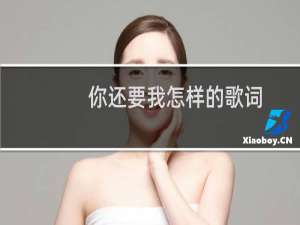 你还要我怎样的歌词