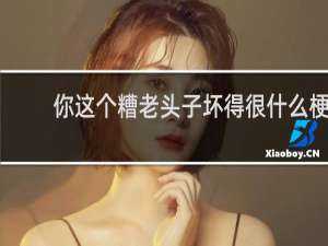 你这个糟老头子坏得很什么梗？什么梗