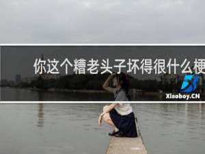 你这个糟老头子坏得很什么梗