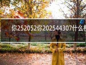 你25 52你 2544307什么梗