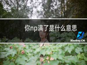 你np满了是什么意思，FGO中np满了是什么梗什么梗