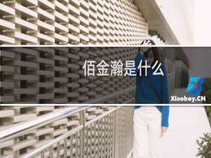 佰金瀚是什么