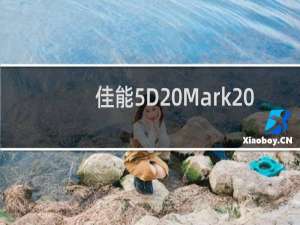 佳能5D Mark II拍童颜巨乳