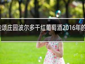 佳颂庄园波尔多干红葡萄酒2016年的多少钱