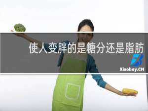 使人变胖的是糖分还是脂肪？什么梗
