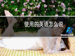 使用的英语怎么说