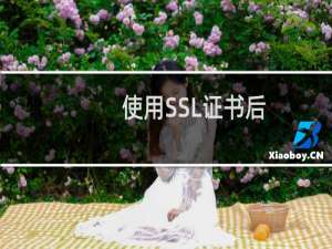 使用SSL证书后，站点打不开