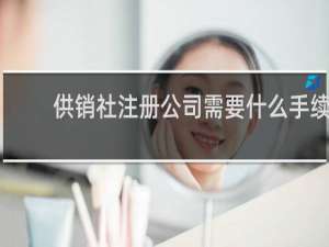 供销社注册公司需要什么手续