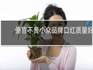 便宜不贵小众品牌口红质量好