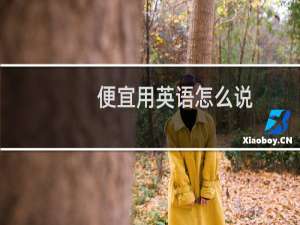 便宜用英语怎么说