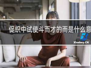 促织中试使斗而才的而是什么意思