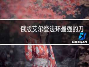 俄版艾尔登法环最强的刀