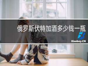 俄罗斯伏特加酒多少钱一瓶