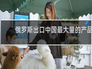 俄罗斯出口中国最大量的产品