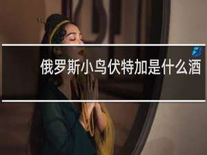 俄罗斯小鸟伏特加是什么酒