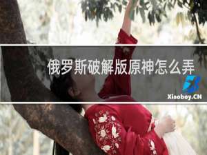 俄罗斯破解版原神怎么弄