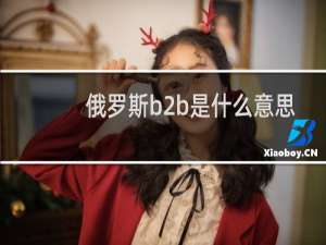 俄罗斯b2b是什么意思