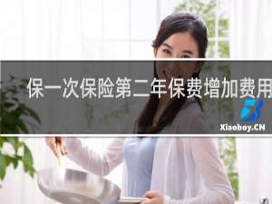保一次保险第二年保费增加费用吗