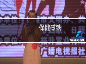 保健磁铁