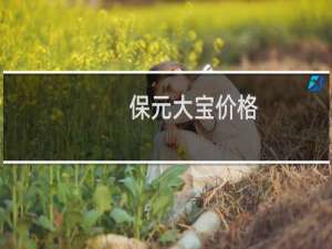 保元大宝价格