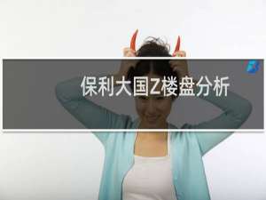 保利大国Z楼盘分析