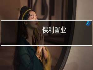 保利置业