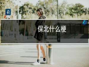 保北什么梗