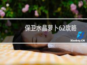 保卫水晶萝卜62攻略